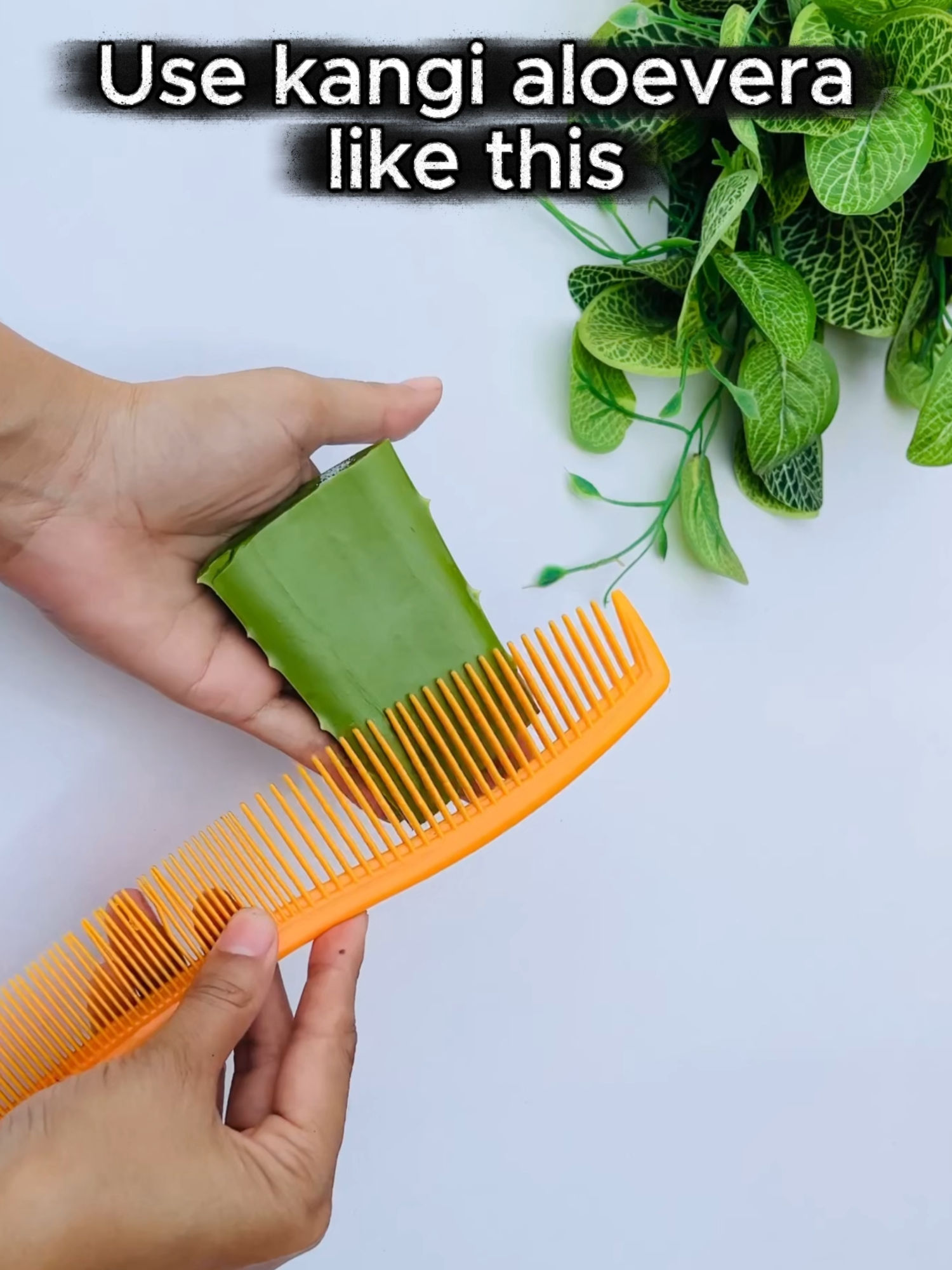 Aloe vera and kangi new tips|| #cleaning #cleaningtiktok #f #fy #fyp #fypage #foryoupage #foryou #fyppp #tipsandtricks #100kviews #million #dresserts #dresserttok #100k #viral #viraltiktok #trending #howto #fyp #foryoupage #fyp