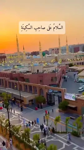 #إلاهي بالمصطفى والمرتض #إلاهي بالمصطفى والمرتض العراق العراق ارحم العراق 