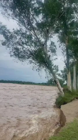 #Flood2025 #HeavyRain #NaturePower 