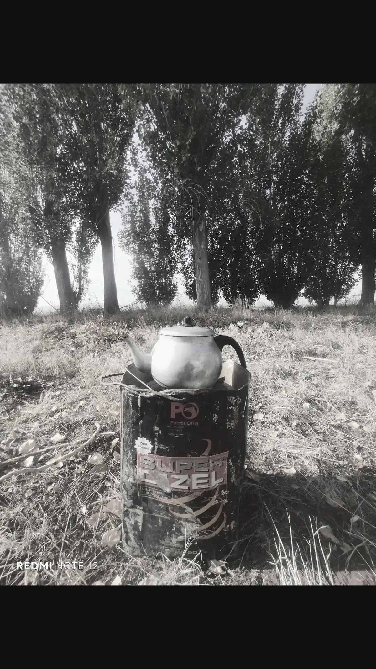 #öneçıkarr #keşfetteyizzz #sarayönüü #sarayönükonya #konya42konya 