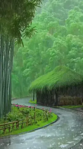 بسم الله توكلة على الله #بسم_الله_الرحمن_الرحيم #دعاء #fyp #دويتو #اللهم_صلي_على_نبينا_محمد 