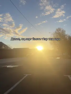 #chechnya #шелковская #grozny 