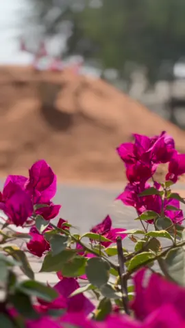 #fypシ #اكسبلورexplore #يوم_العلم🇦🇪 