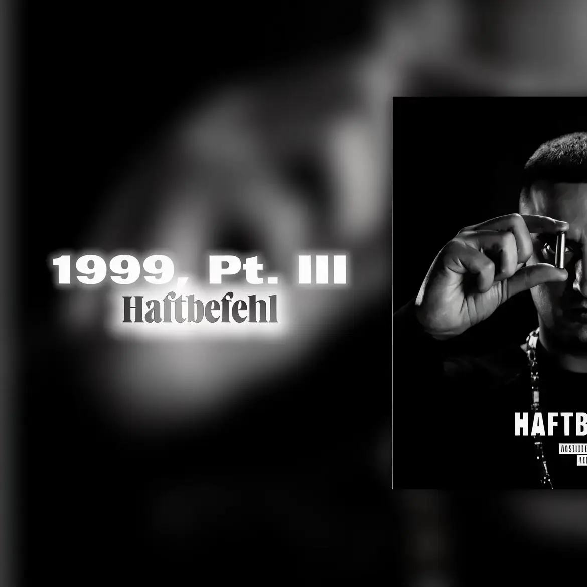 @HAFTBEFEHL #lyricmotion #viral #lyrics 