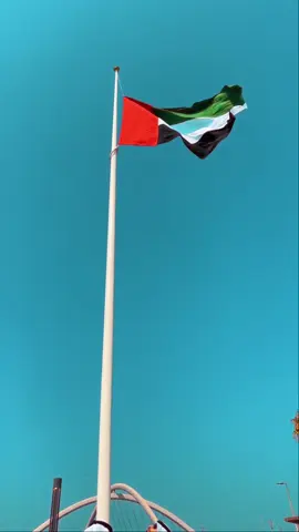 #يوم_العلم🇦🇪 #يوم_العلم_الاماراتي 
