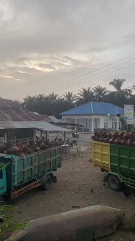 Kerjakan apa yg bisa dikerjakan.                                           #motivation #fyp #foryou #viral #sawit 