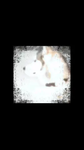 ib snuffwound and christmascreep ofc #mattjohnson #edit #thedirties #fyp