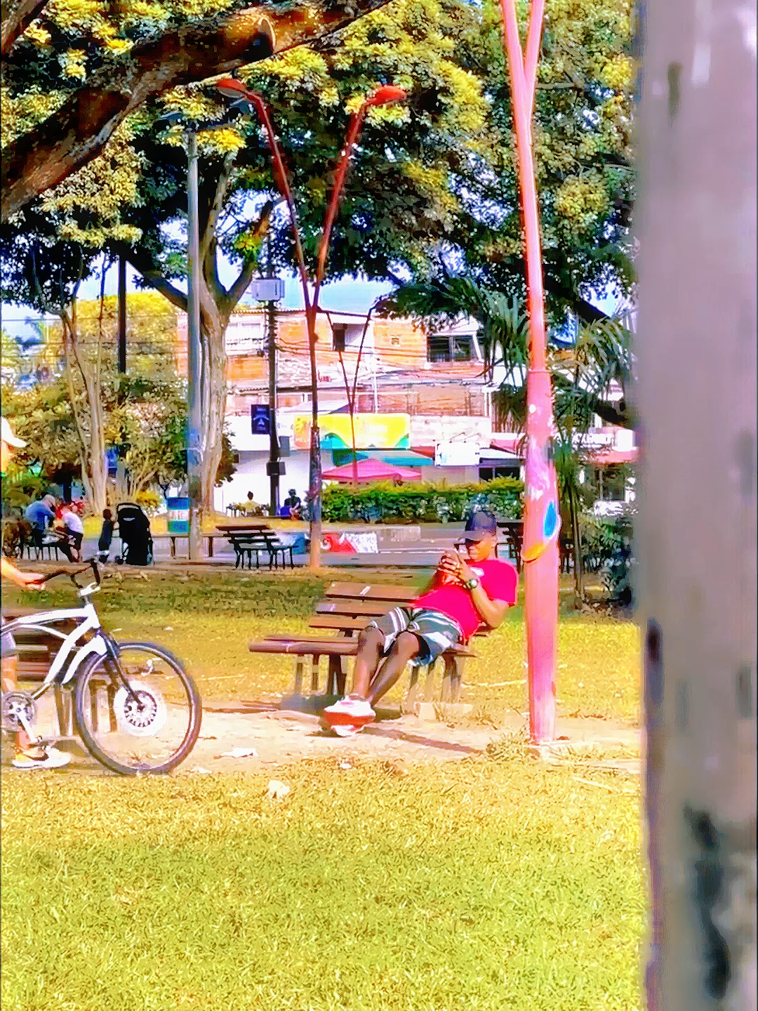 The electric bicycle ⚡️🚲 #funny #funnyvideos #funnymoments #funnyprank #comedy