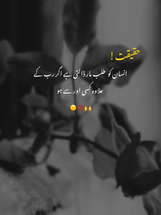 𝑻𝒓𝒖𝒆 𝑳𝒊𝒏𝒆𝒔 ✨ ‎#truelines#dontundereviewmyvideo #poetrylovers #pleasetiktokviralmyvideo #alfazefarhan ‎