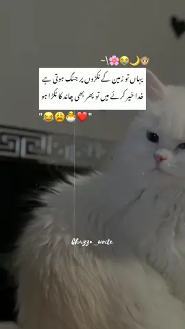 ab allah khair kren 🤣🤣. . . . #fyp #foryou #chuzza_write #viral #unfreezemyacount