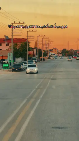 مجرد حياة.... وستنتهي يوما ما...!!#قونيا_علاءالدين #محمود_الياسر #ستوريات🖇️🎬 #الشعراء_وذواقين_الشعر_الشعبي 