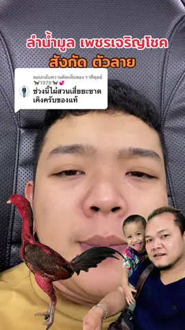 ตอบกลับ @ราศีตุลย์ 🐎1978🐎💞 อัดไปอีกคับ #ตัวลายไก่ชน #ถ่ายทอดสดไก่ชน #ไก่ชนเงินล้าน #เพชรเจริญโชค #บั้งเข้าฝัน 