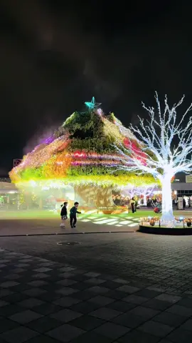 ここ、ディズニーじゃない。競馬場だよ🐎 💎東京メガイルミ2025 【期間】 2025年11月1日（土）〜2026年1月11日（日） 【営業時間】 16：30〜21：00 　　　　　　　　　　　　　　　　 #東京メガイルミ#デートスポット#映え#バズれチャレンジ 