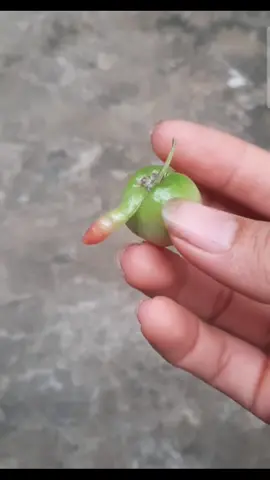 Đáng yêu quá phải ko mấy em kkkk 