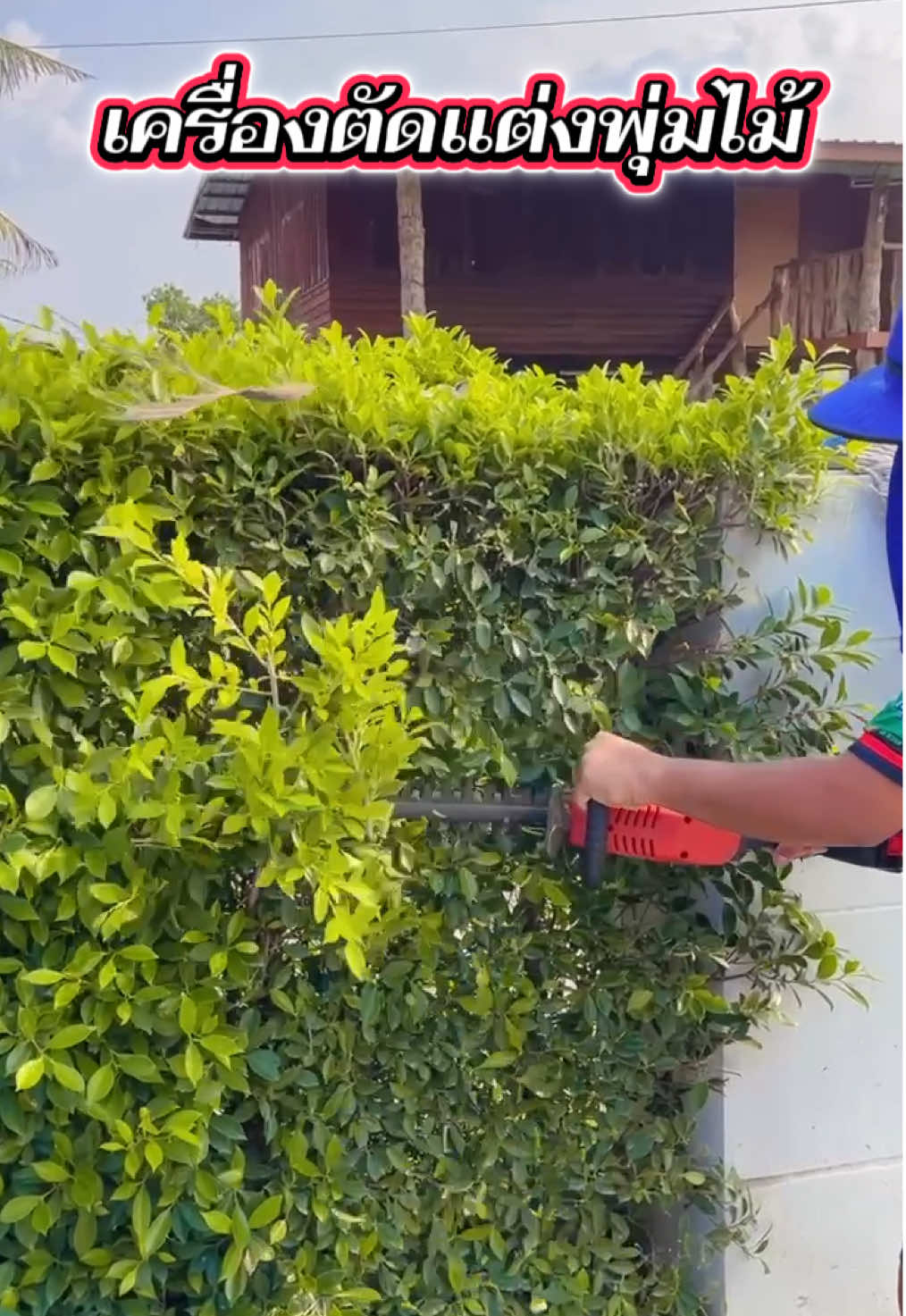 อัพเกรดใหม่ เครื่องตัดแต่งพุ่มไม้#ใช้ดีบอกต่อ #เปิดการมองเห็น #ของดีบอกต่อ #เทรนวันนี้ #เอาขึ้นหน้าฟีดที 