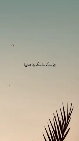 پیو🫂🫠#foryou #punjabi #poetry 