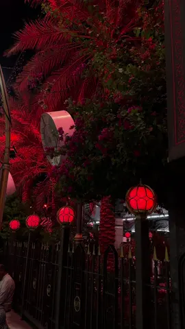 يازهراء بالروح يمه 💔✨#يافاطمة_الزهراء  #يافاطمه_الزهراء_دخيلج_فرحي_كلب_كل_مهموم  #يوميات_ابن_كربلاء #fyp #اكسبلورexplore 