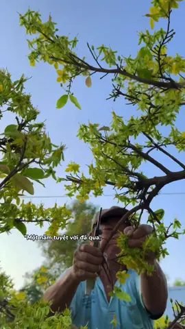 🌸🌸🌸🌸🌸🌸🌸🌸#nhachaymoingay #tet #tet2026 #xuhuong #thanhthoiluottet 