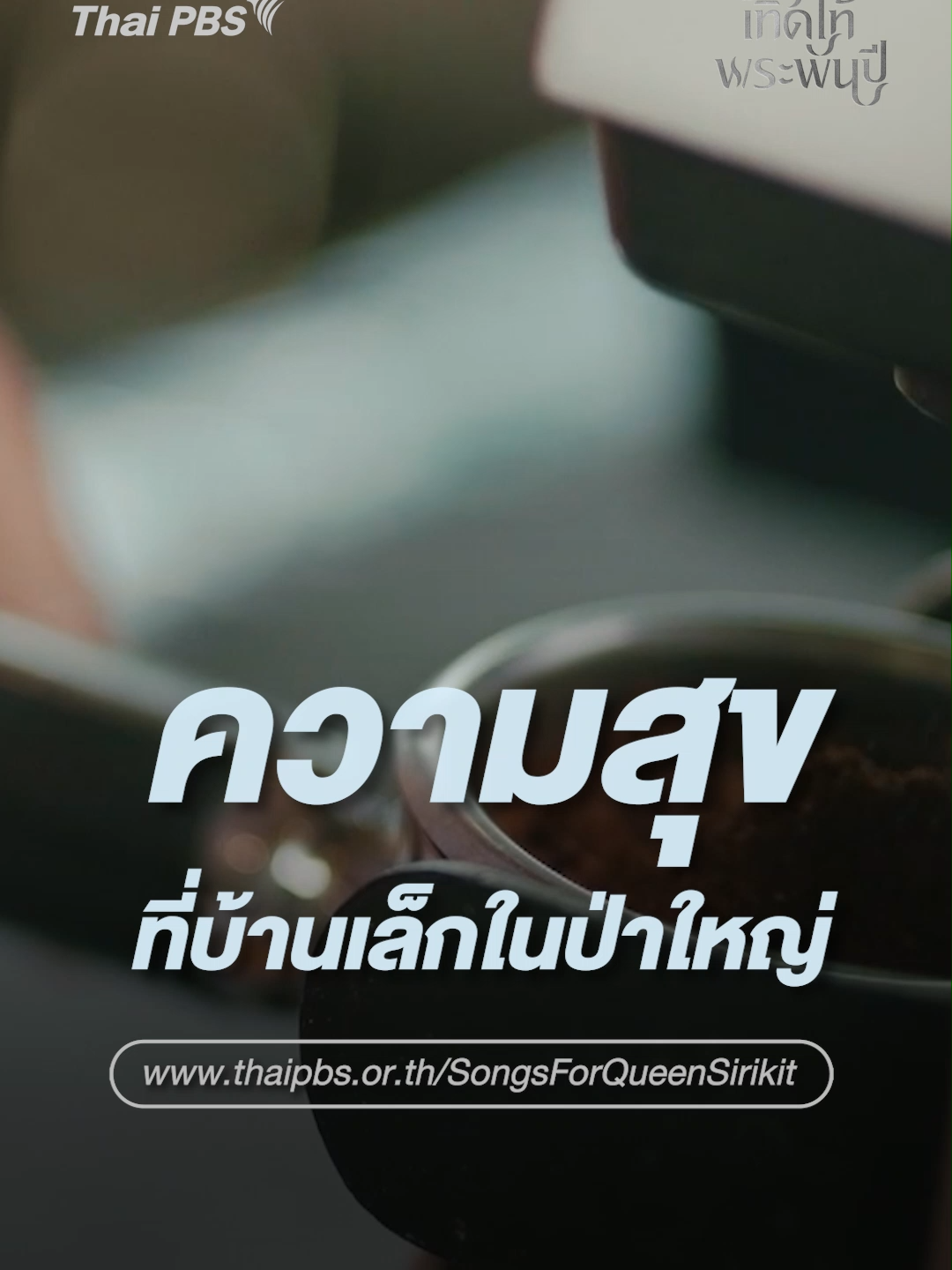 กาแฟแห่งความสุข ที่บ้านเล็กในป่าใหญ่ ชีวิตใหม่ของชาวไทยภูเขา  #คีตามาลัยเทิดไท้พระพันปี #พ่อเป็นน้ำแม่เป็นป่า #ThaiPBS #รายการThaiPBS #พระพันปี ฟังบทเพลง 