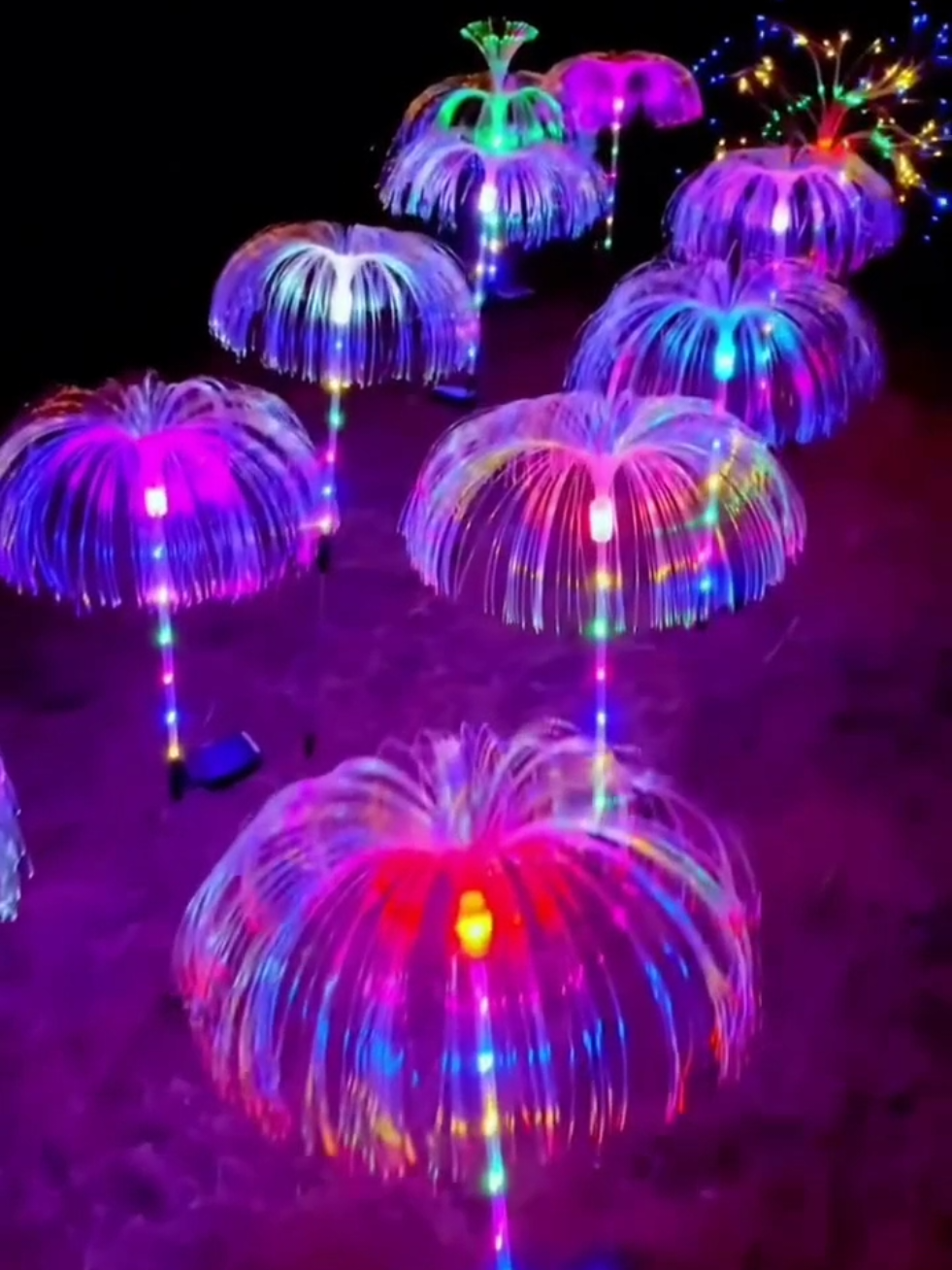Solar Christmas lights #christmaslights #musthave #creatorsearchinsights 