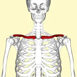 frame is crucial #bpedit #bp #fyp #looksmax #brutal 