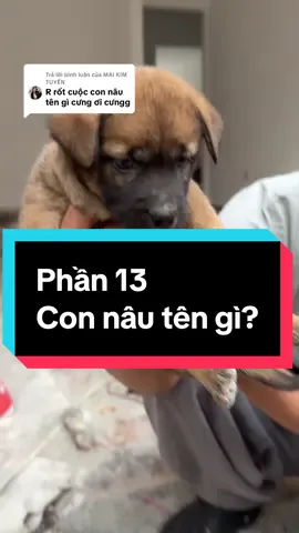 Trả lời @MAI KIM TUYẾN tên GẤU nhe chị 😆 #nhabedo 