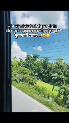 😌🙂#CapCut#foryou #foryou #foryoupage #bdtiktokofficial🇧🇩 @TikTok  