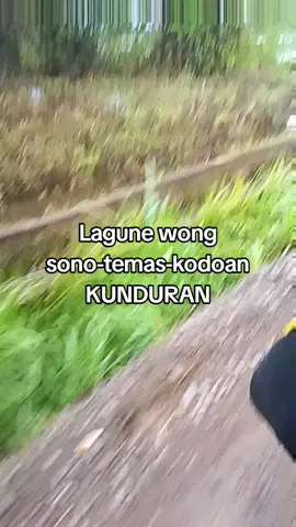 rasido tandur pakdee mbokdee 😭😭 #bencanabanjir2025 #infoBlora #Bloraplosok #viraltiktok #masukberanda 