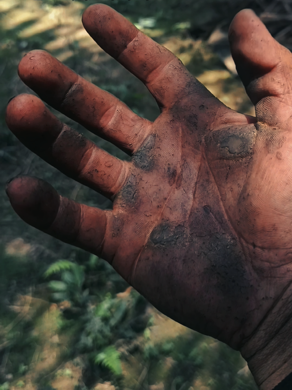 🥹🥹 #storysawit🌴🌴  #sawit 