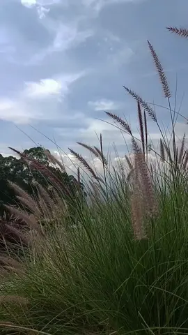 #CapCut #Hope#Godisgood#foryou 