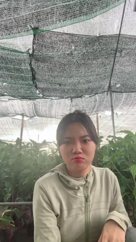 Đề nghị mấy ông nha nha 