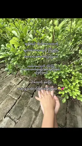 @ꪑ သိပ်ချစ်တယ်ဟင့်💕😭🫶🏻#xybca #fyppppppppppppppppppppppp #foryou #fypシ゚ #crdစာသား 