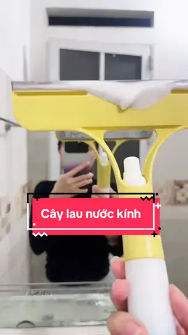 Cây lau nước kính có sẵn bình xịt.#caylaukinh #caylaukinhdanang #caygatnuocsilicon #nhacuadoisong #giadungtienich 