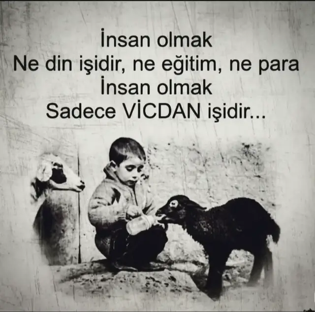 #anlamlısözler #acımasızhayat #damarsözler #mesafe #hayat 