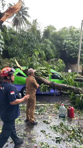 innalillahi, pohon tumbang nimpa angkot, SWT....#CapCut#fyp #pohontumbang#angkot #musibah 