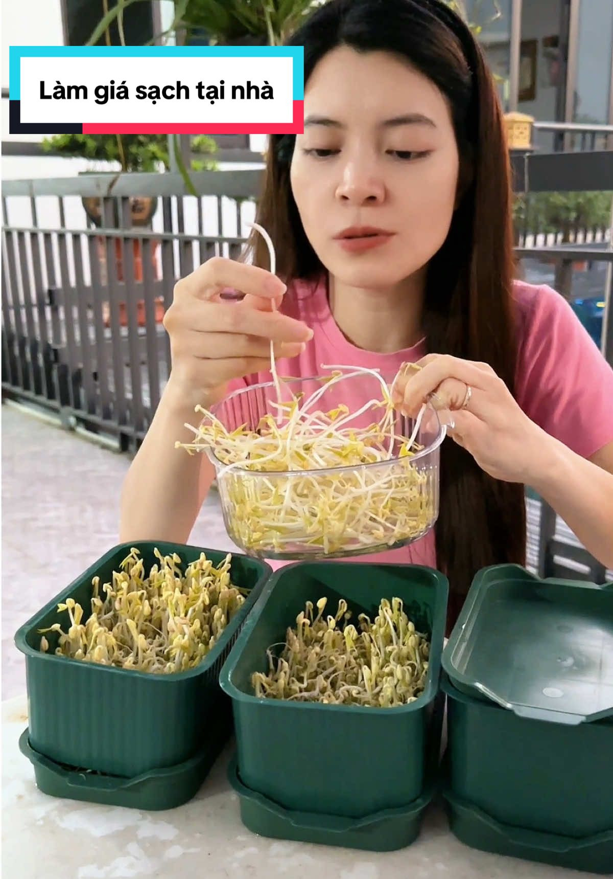 Làm giá sạch tại nhà cực dễ #nhisuti #dogiadung #khaylamgiado #khaylamgiatainha 