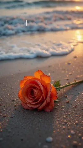 Xin Hun Kuai Le  新婚快乐 #mandarinsong #fyp #viral #chinesesong #lagumandarin 