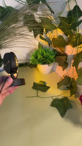 đèn hoàng hôn trang trí #denhoanghon #dentrangtri #dendecor #xh #den 