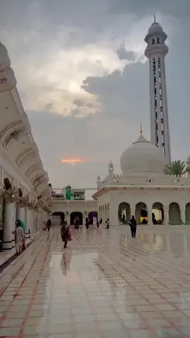 #چراغِ_گولڑہ_پیر_نصیرالدین_نصیر💯❤ #viralvideo #tranding #VIRAL #TRENDIND 