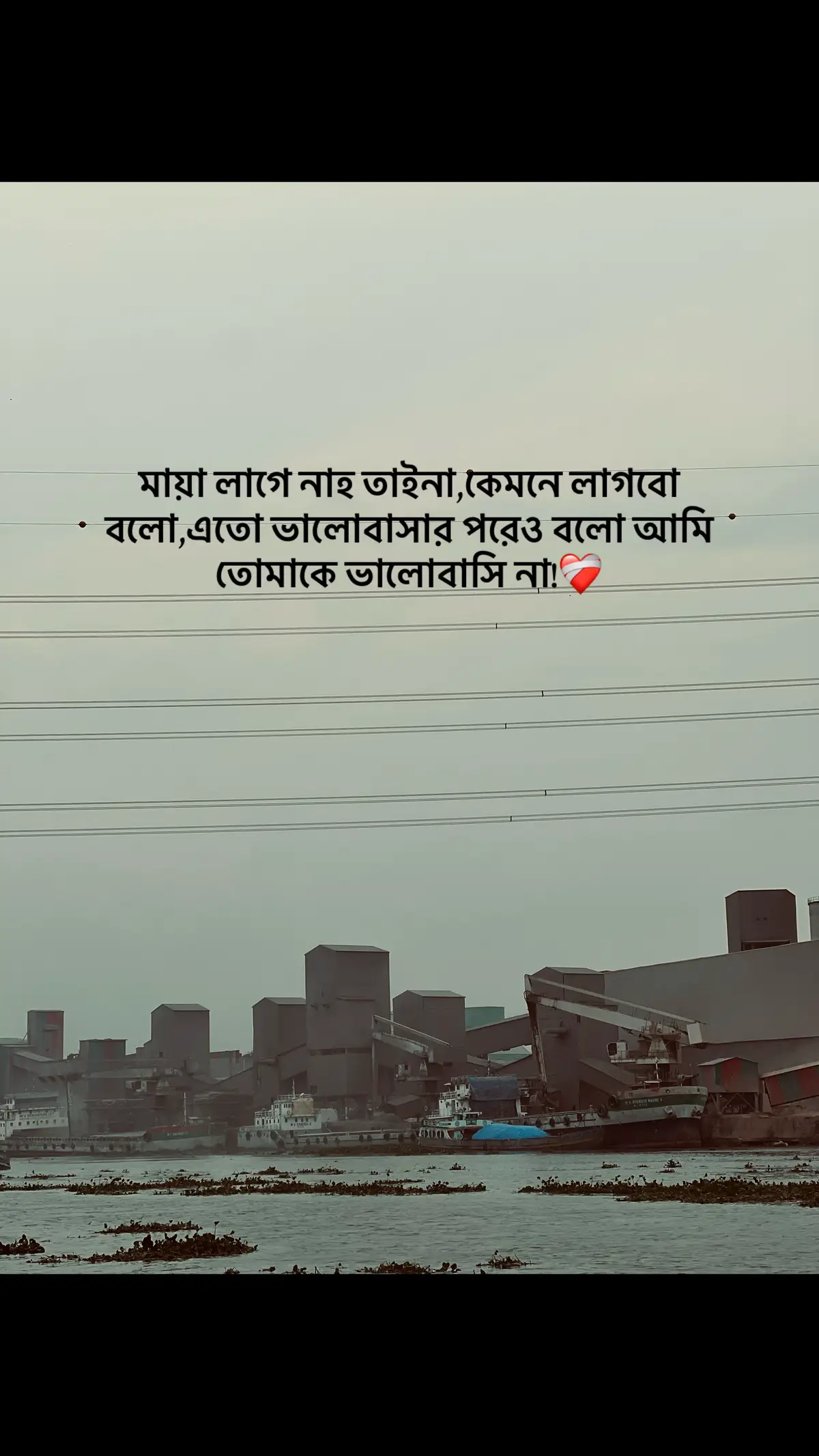 #Outfit Cowok Berwarna