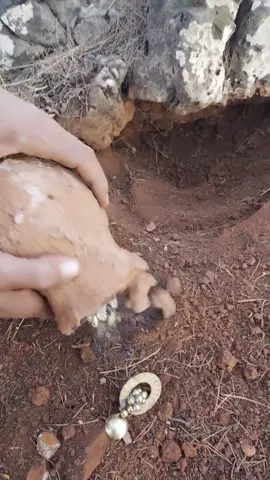 Whispers from the Ground#gold #adventer #treasure #nature #metaldetector #satisfying #fyp 