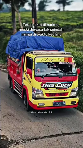 #kurirsayur✌️ #sayurcepat #fypシ゚viral #storytruck #padahariini 