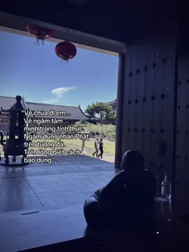 Về chùa đi em...🪷#nammoadidaphat #dieuy #phatgiaovietnam #newzealand 