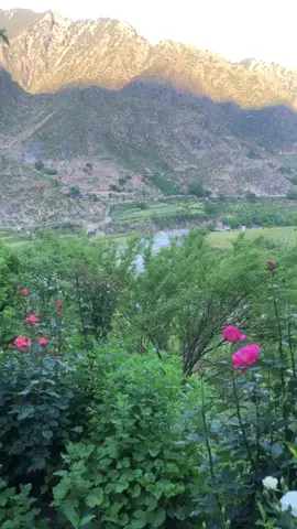 #وطن  کونړ ولایت شیګل ولسوالۍ (لچي) کلی