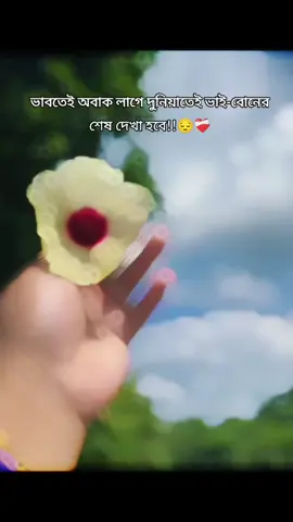 😔💓#foryou #unfrezzmyaccount #tiktokofficialbangladesh #viralvideo #fyp @TikTok @For You @Fahadツ☞N..🫶🏻❤️‍🩹 