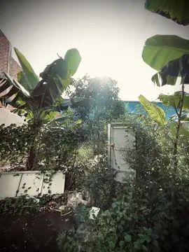 #xuhuong #fouryou #viral #fypシ 