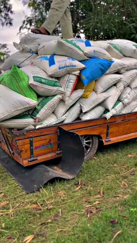 #CapCut #ท้ายลากหมา #อนิวัตติ์ 