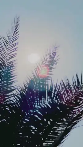 Lasani Breader❤️#fypシ゚viral #standwithkashmir_foryou_viral #foryou #fyppppppppppppppppppppppp #growmyaccount 