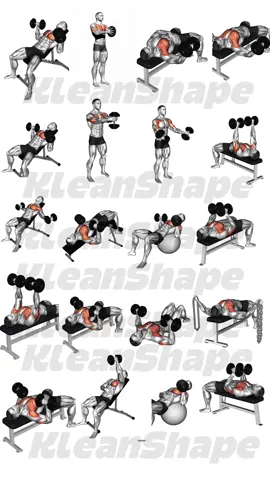 Top Dombbells chest template workout 🏋️!!! Save it don’t lose this best workout training!!! Comments, share, like, follow for more tips like this !! Let’s go ❤️ #workoutroutine #Fitness #chest #chestworkout #kleanshape 