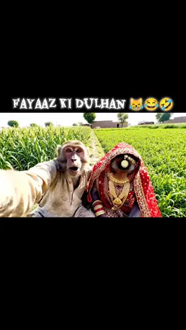 Fayaaz Ki Dulhan 😹😂🤣 #funnyvideos #funnybaby #monkeymakeup #monkeyvideo #monkey 